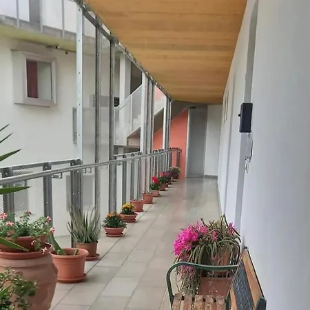 Guest house La Contessa *